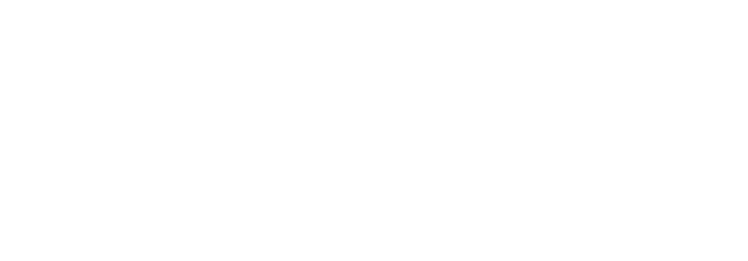 Valencia-white-logo
